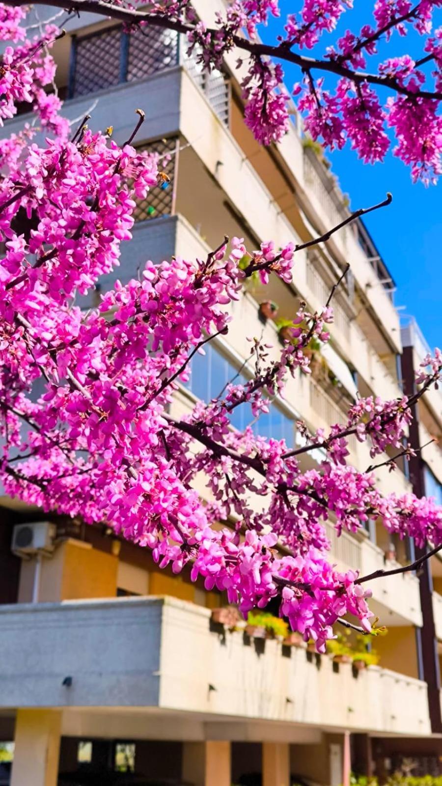 Rome Sweet Home Vitinia Exterior foto